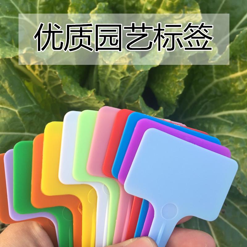 优质100张彩色花卉园艺标签植物多肉标签塑料防水加厚小号花卉牌|ruв категории доставка цветов/цветок моделирования/растения садоводства, садовых принадлежностей, других садовых принадлежностей - от Buy2taobao.com для оказания профессиональной услуги покупки агента Taobao