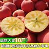新疆阿克苏冰糖心苹果带箱10斤新鲜水果脆甜红旗坡非红富士包邮|ru 新疆阿克苏冰糖心苹果带箱10斤新鲜水果脆甜红旗坡非红富士包邮|ru