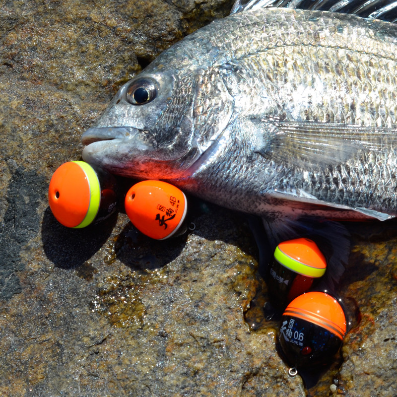 四海渔歌矶钓阿波漂 矶之梦系列浮波 天狗二代目波止环付外挂夜钓