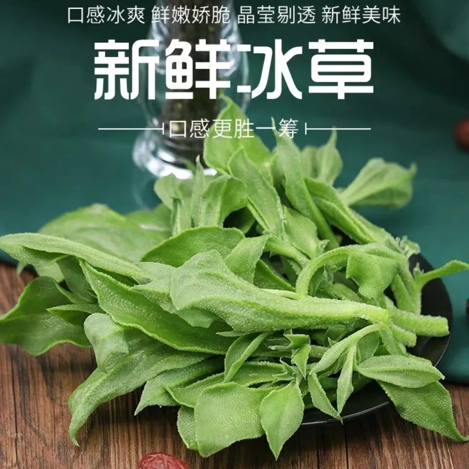 一折冰草新鲜蔬菜