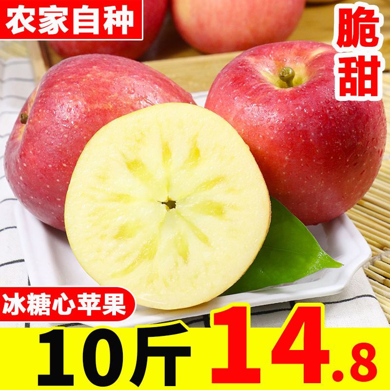 Shanxi Rock sugar Apple fruit fresh Should Full container Red Fuji Pingguo Apple 10 Jinin the Aquatic meat/Fresh fruits and vegetables/Cooked , Fresh fruit , Apple category - from Buy2taobao.com to provide professional Taobao agent buy service