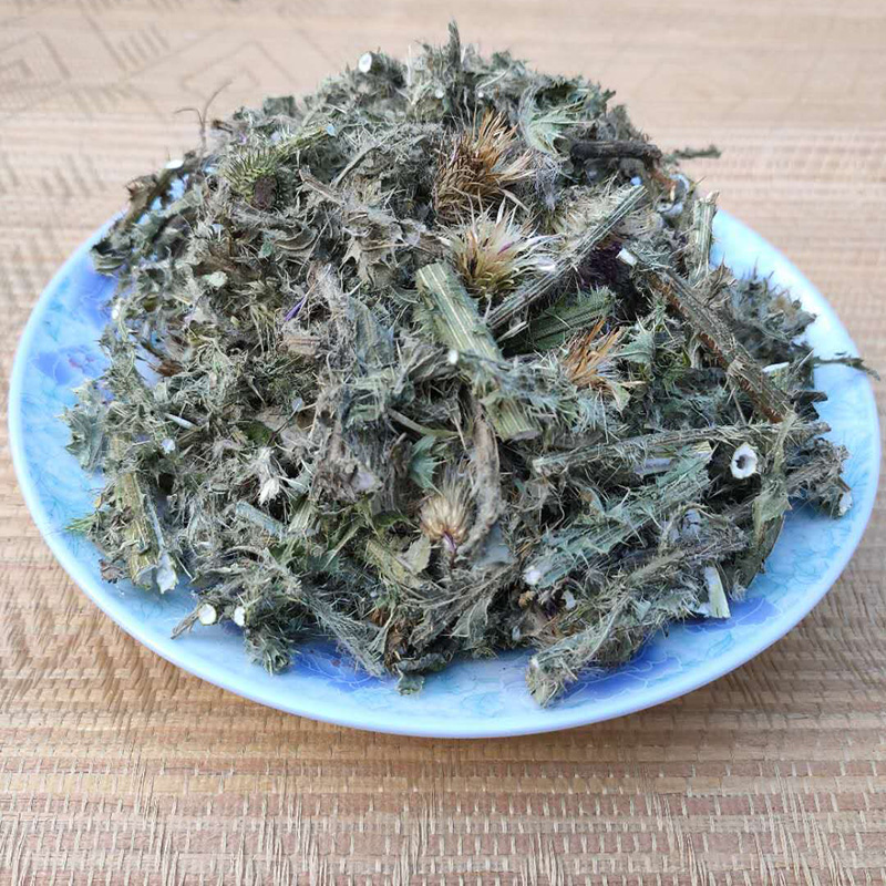 飞廉草药用价值图片