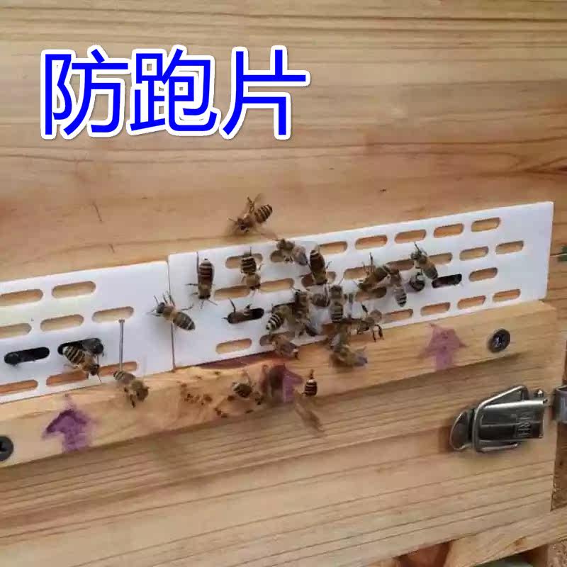 蜜蜂防逃片蜂具专用中蜂防跑片防盗器蜂王隔板蜜蜂箱防逃王片50片