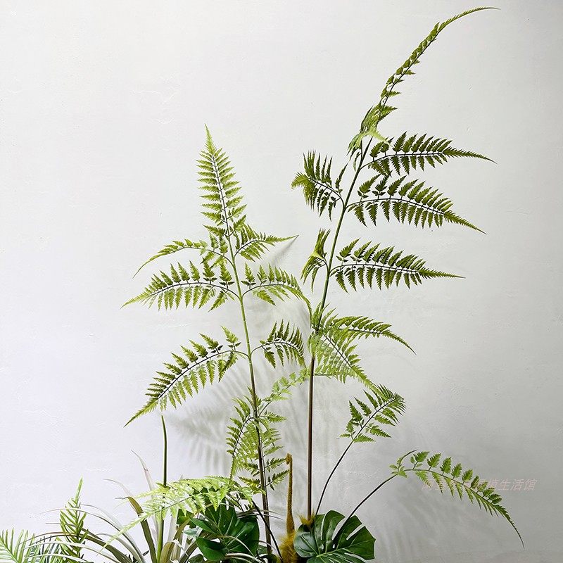 仿真植物蕨类蕨草金丝猴头蕨绿植盆栽北欧大型落地景观造景摆件