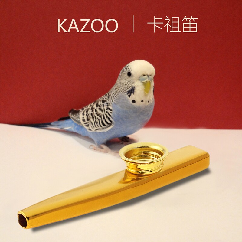 不用学就会的乐器大全kazoo便携式卡祖笛金属专业演奏级卡组笛