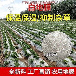 新品塑料布地膜果园两米宽的白地膜薄布农田温室S菜地塑料膜薄定