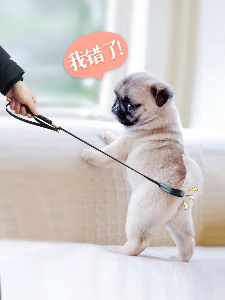 特价击器狗_打狗棒狗狗训练神器软击训犬鞭训狗装备马犬训狗器宠物