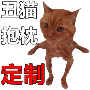 无描边宠物抱枕无白边丑猫玩偶定制无边玩偶异形猫猫巨丑猫咪抠图