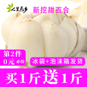 第2件0元500g江油新鲜百合新鲜食用甜百合蔬菜当季优胜四川百合干