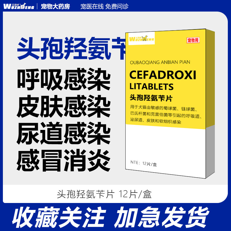 狗狗猫咪头孢羟氨苄片消炎药皮肤病毛囊炎咳嗽感冒肺炎伤口宠物用