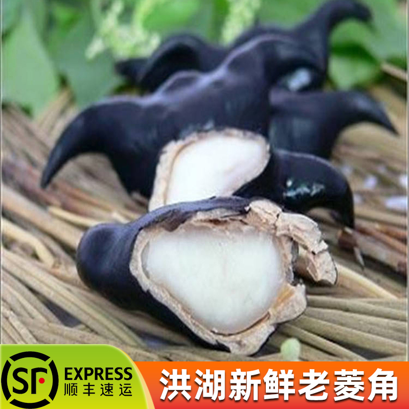Shunfeng Water chestnut Water chestnut fresh Edges and corners Water chestnut rice Water chestnut Water chestnut fresh Water chestnutin the Aquatic meat/Fresh fruits and vegetables/Cooked , Fresh vegetables/Vegetable products , Fresh vegetables , Water chestnut category - from Buy2taobao.com to provide professional Taobao agent buy service
