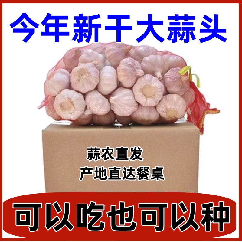 干蒜5/10斤白紫皮蒜大蒜新鲜批发