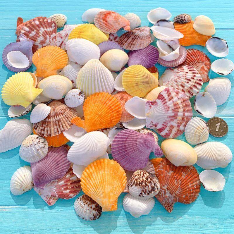 海螺贝壳手工diy创意装饰