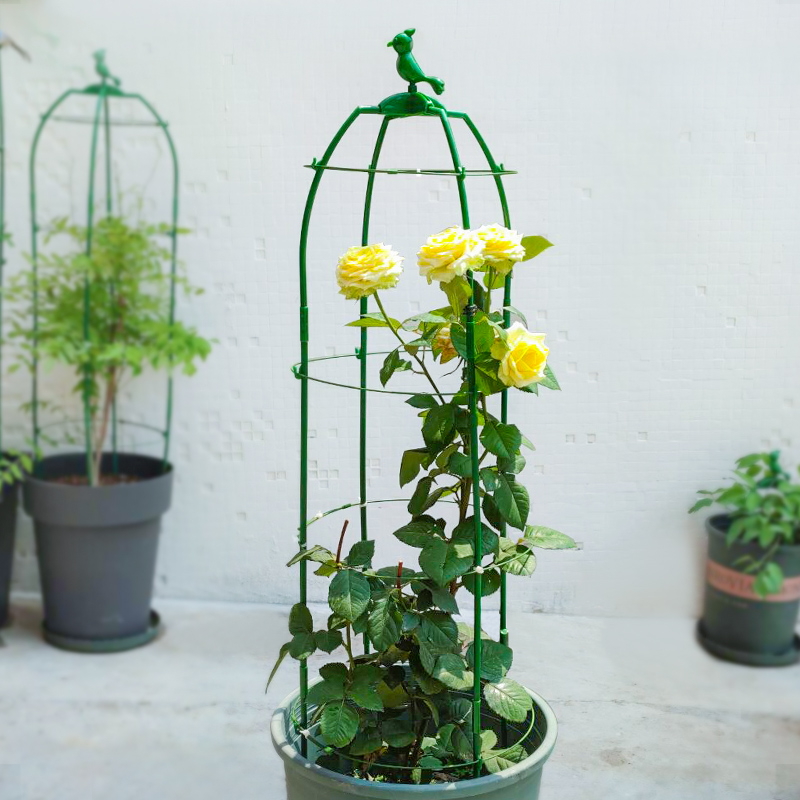 爬藤架月季花支架铁线莲攀爬阳台盆栽玫瑰花架植物藤架固定支撑杆