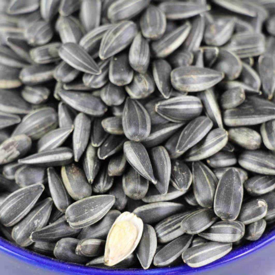 瓜子新鲜小瓜黑珍珠子生原味生小油葵生葵花籽炒货瓜子