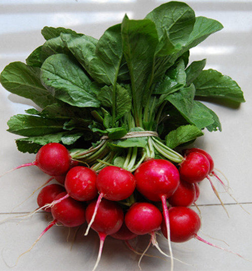 东北新鲜樱桃萝卜红皮迷你小水萝卜小红圆萝卜脆甜带箱3斤