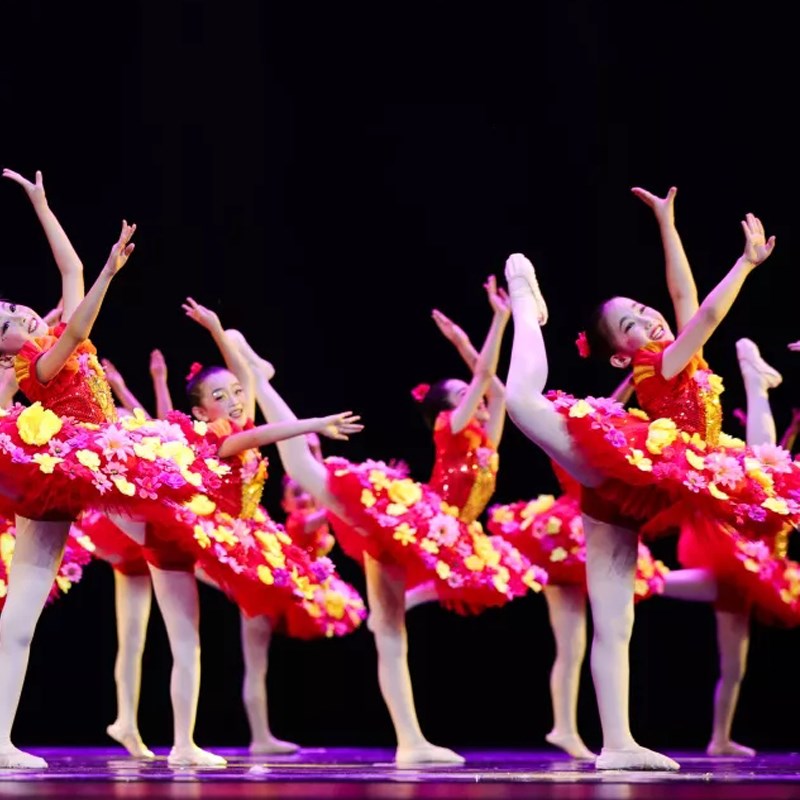 花儿那样红儿童舞蹈演出服女孩蓬蓬裙表演第十届小荷风采歌唱祖国