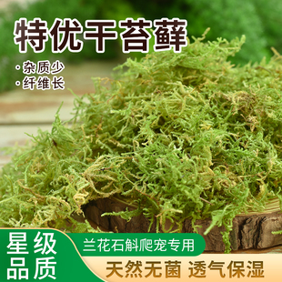 干苔藓水苔纯天然青苔兰花蝴蝶兰石斛种植专用营养土爬宠乌龟垫材