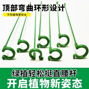 植物固定防倒伏花架子园艺支撑单杆室外花园月季爬藤种菜捆扎支架