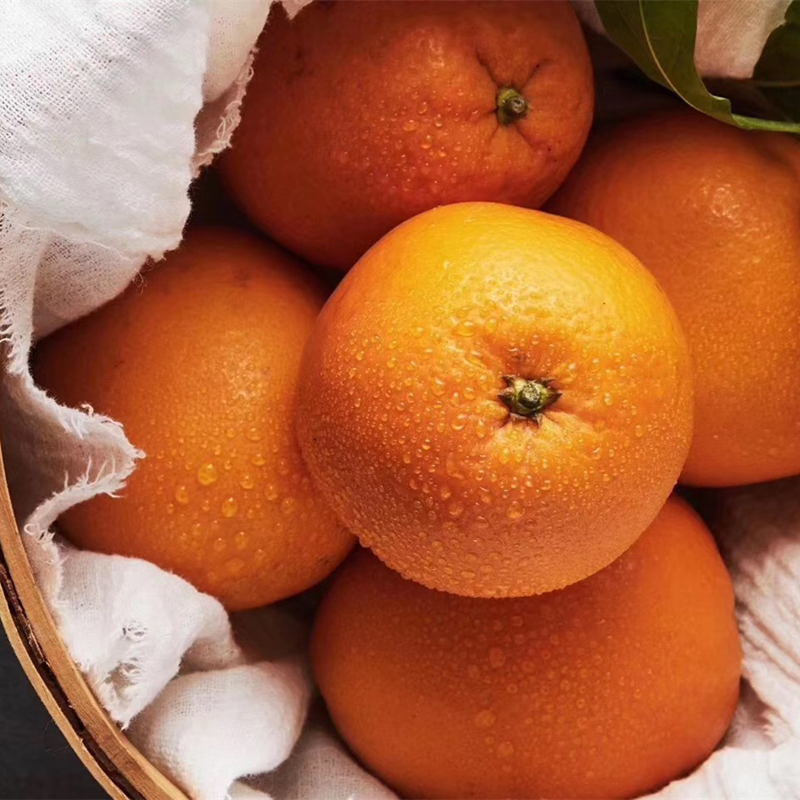 网友分享在meiguo.com上的图片