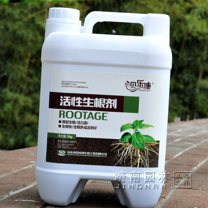 快速生根液植物通用生根粉花卉扦插生根剂果树木移栽生根壮苗剂