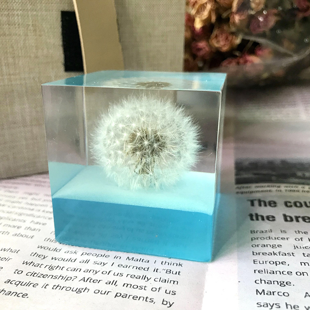 滴胶成品永生花蒲公英植物标本水晶球八音盒小夜灯告白礼物创意