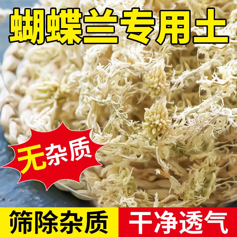 水苔包邮无菌智利进口干水苔蝴蝶兰花