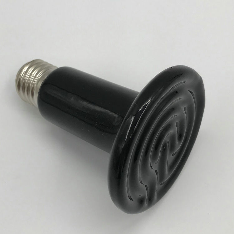 陶瓷加热灯恒温箱加热器爬宠乌龟刺猬陆龟蜥蜴红外保温在类目 五金/工具, 机电五金, 电热设备, 电热管中 - 来自Buy2taobao.com提供专业的淘宝代购服务