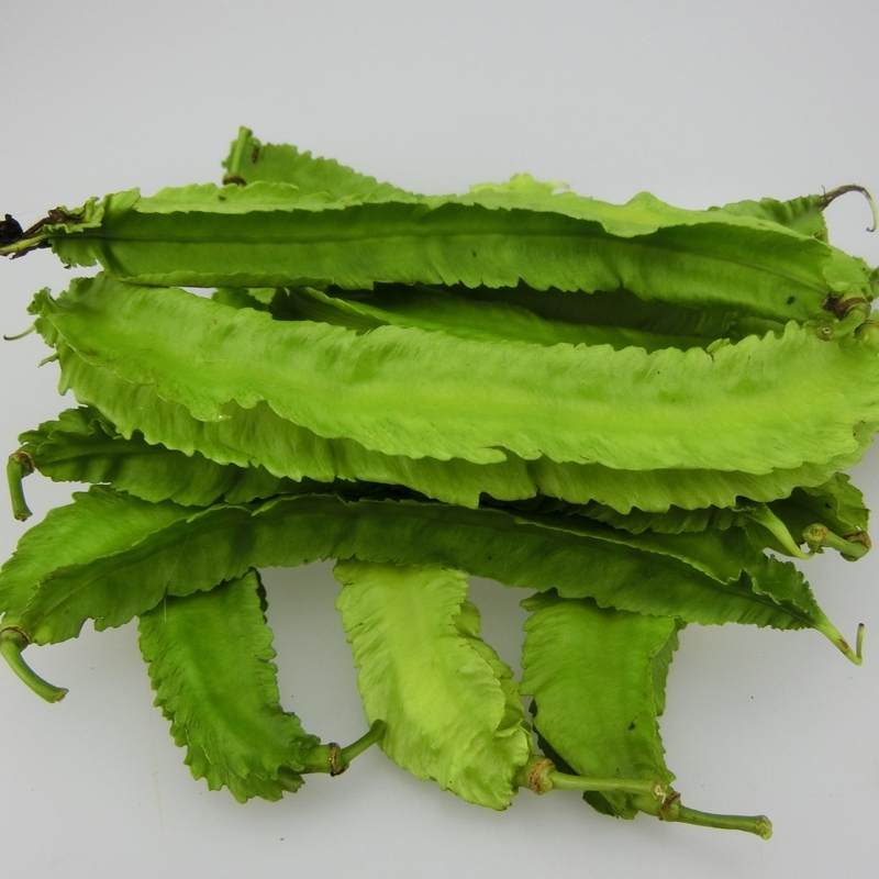 (今日5.5折)三亚四角豆海南新鲜采摘蔬菜四季豆四棱豆杨桃龙豆净重3斤