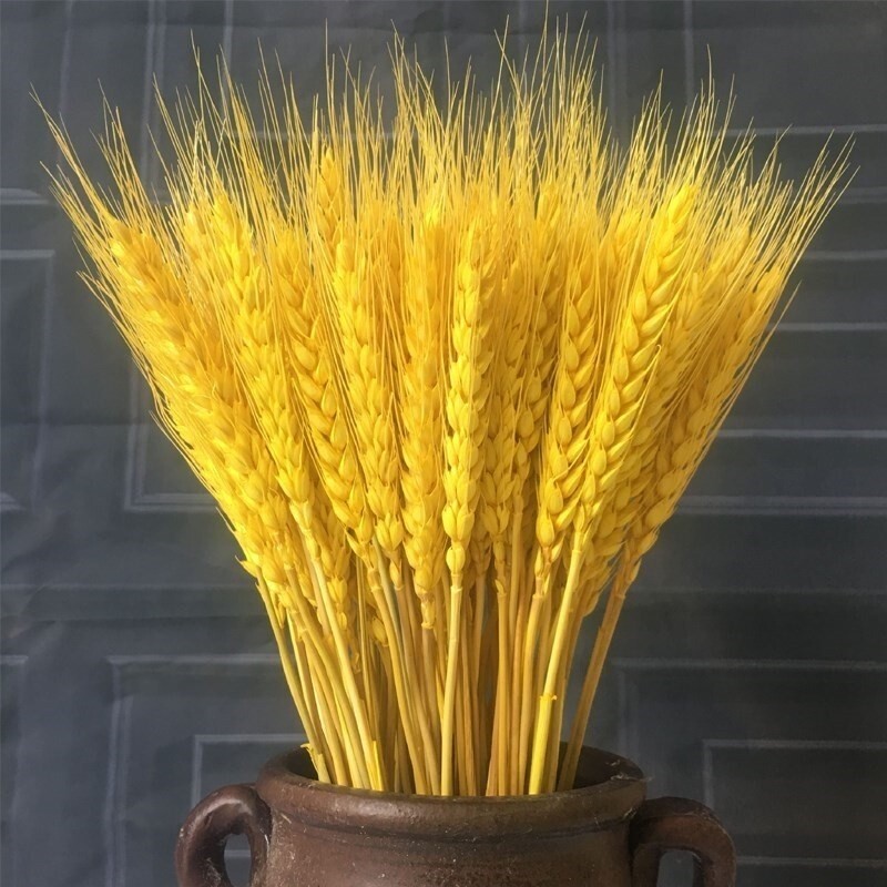 实惠仿真稻谷稻子假麦穗谷子塑料水稻稻穗室内摆设装饰绢花模型稻