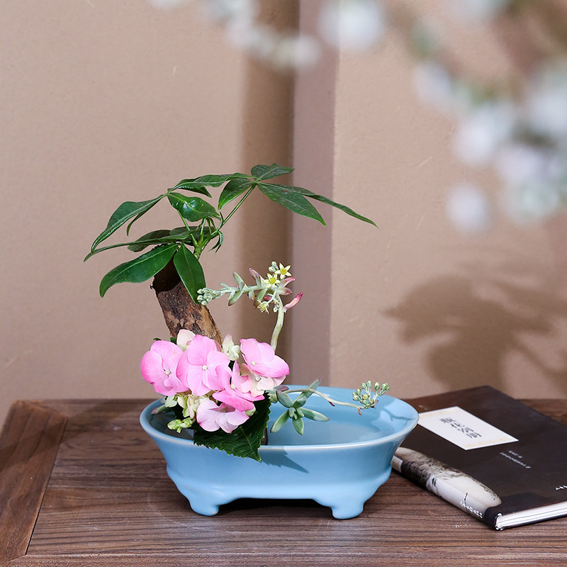 水仙花盆陶瓷汝窑水仙花水培水养长方形盆景花器禅意中式插花器皿