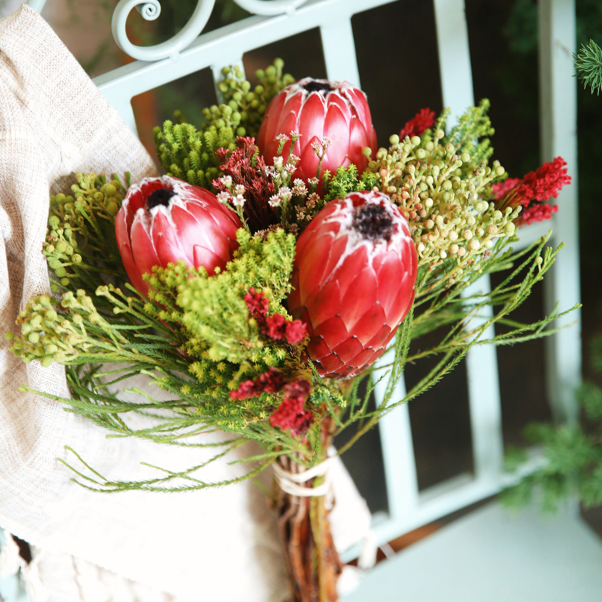 乐作flora|鲜花云南直发 南非进口公主帝王 可做干花顺丰空运包邮