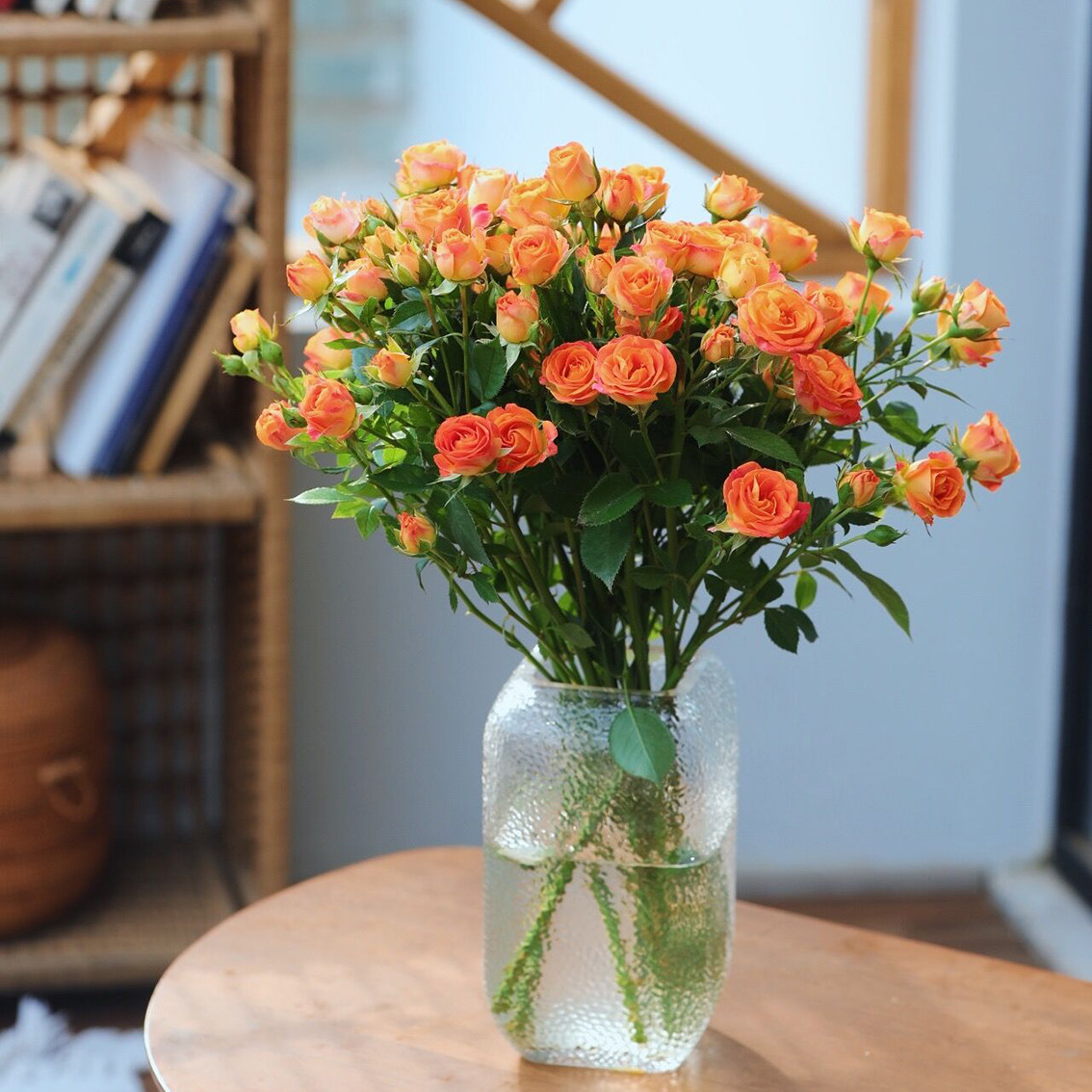 乐作flora| 狂欢泡泡 多头玫