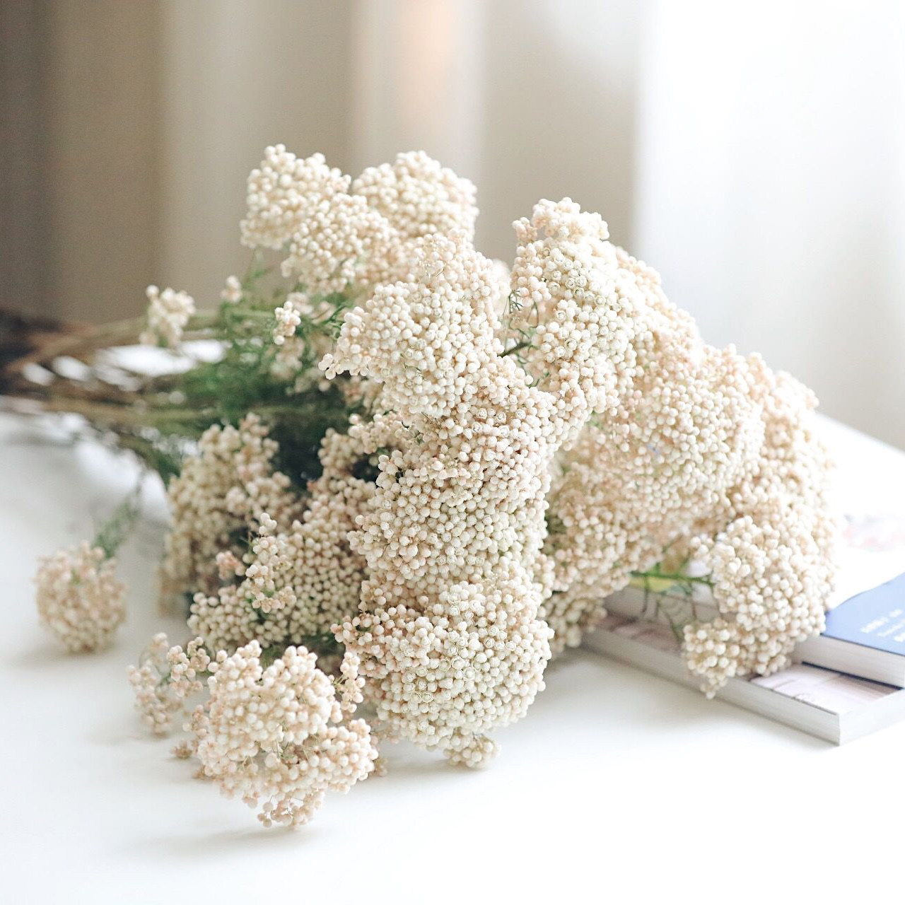 淘宝￥28折后价￥28小米花永生花国产永生花材原材料diy花束保鲜花