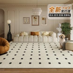 地毯客厅2024新款沙发垫免洗可擦轻奢高级感床边地毯卧室家用地毯