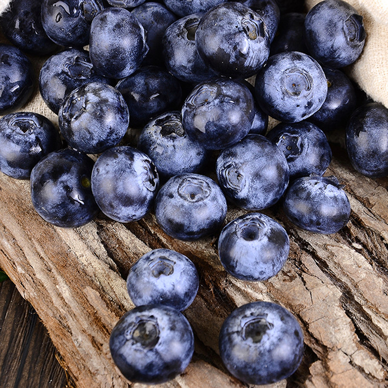 新鲜蓝莓净果500g顺丰多省包邮坏果包赔