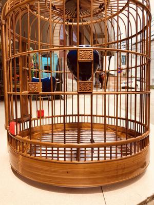 画眉鸟笼淘宝优惠券