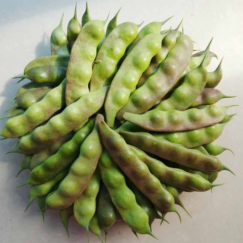 正宗东北特产新鲜油豆角一点红豆角山东农家自种新鲜蔬菜5斤包邮