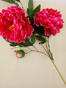 假花仿真牡丹花大朵客厅落地图片