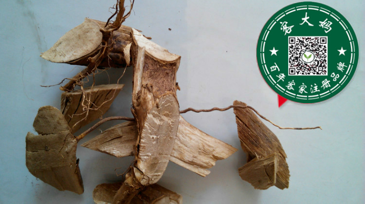 山苍根 山苍子根 山苍树根 木姜子根 山汤根 500g 包邮