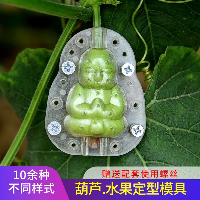 葫芦生长定型模具塑料模子范制葫芦套模型文玩天然小葫芦水果模具