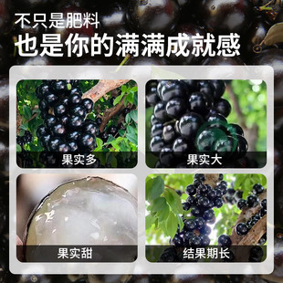 坤宁王嘉宝果专用肥料珍宝果小硕挂果树葡萄营养液复合颗粒缓释肥