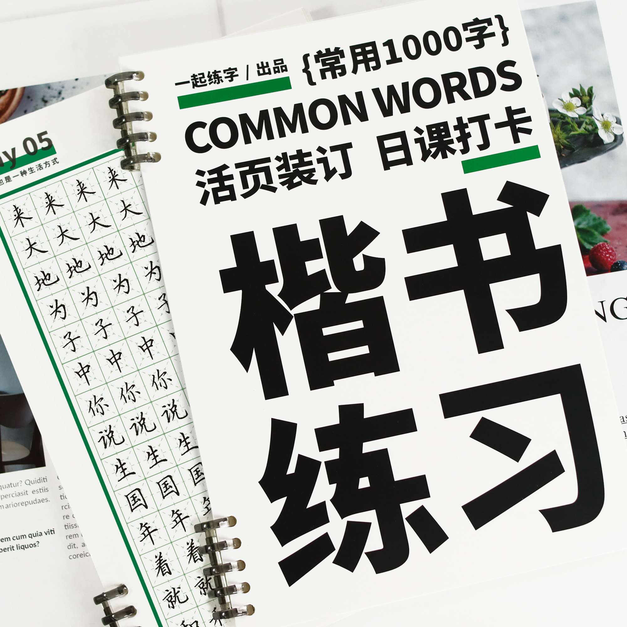 一起练字楷书字帖成人练字专用活页日课字帖常用1000字硬笔书法入门大学生成年规范字小学生字体成人硬笔字帖临摹描红本正楷书法纸