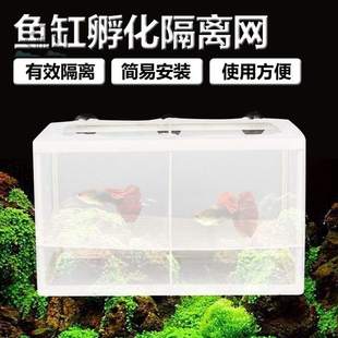 鱼缸隔离盒保护悬浮网小鱼苗鱼鹦鹉虎苗迷你产卵鱼小型宝宝式漂浮