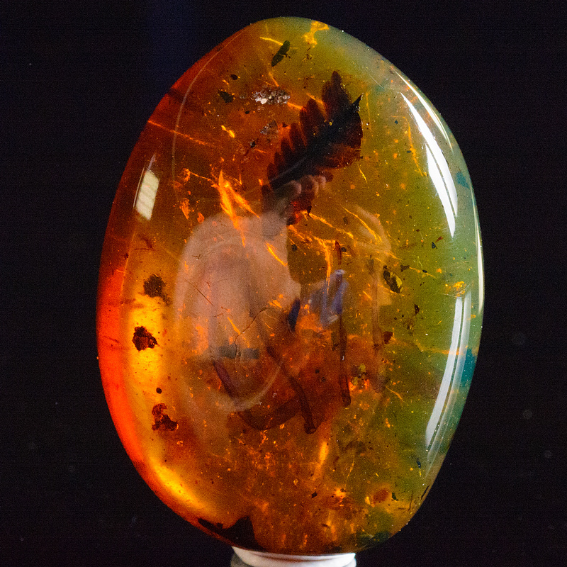 13.9g收藏级缅甸琥珀【大蜘蛛带植物叶子裸料挂件】yy5 72