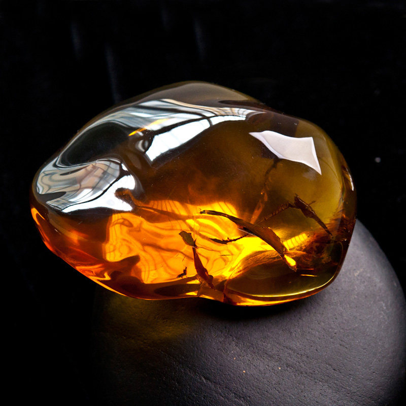 映阳琥珀 纯天然缅甸琥珀【茶珀带叶子】