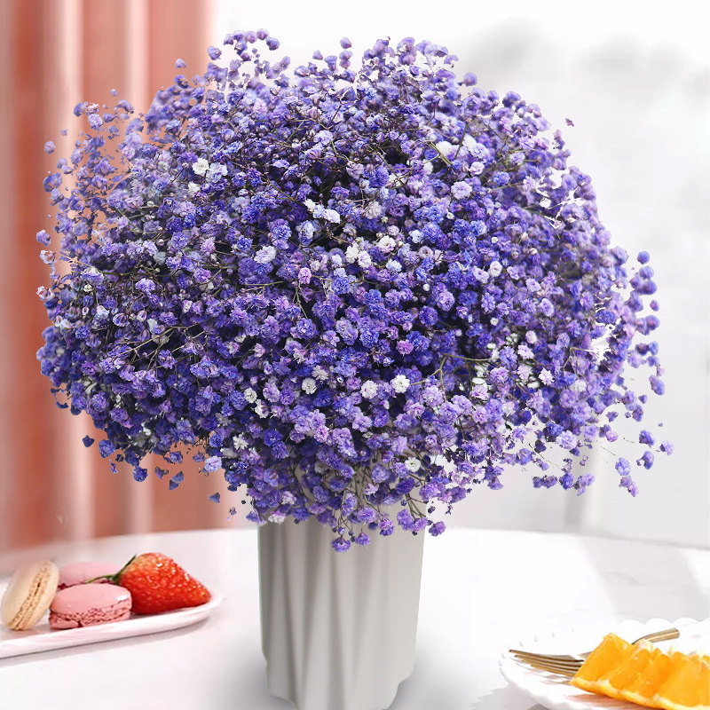天然满天星干花超大真花束云南直批发客厅家居插花装饰摆件称斤卖