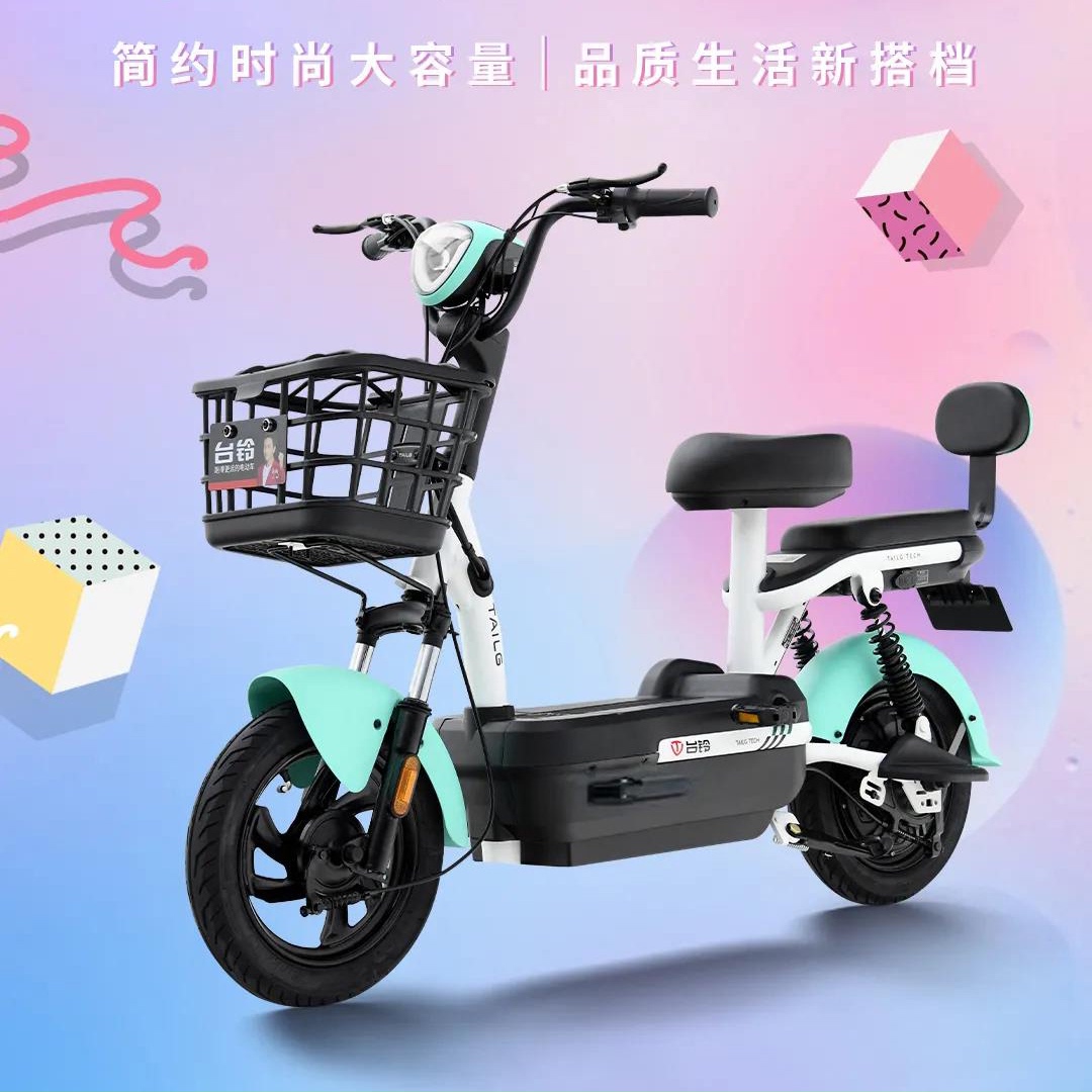 台铃电动车新国标2021新款