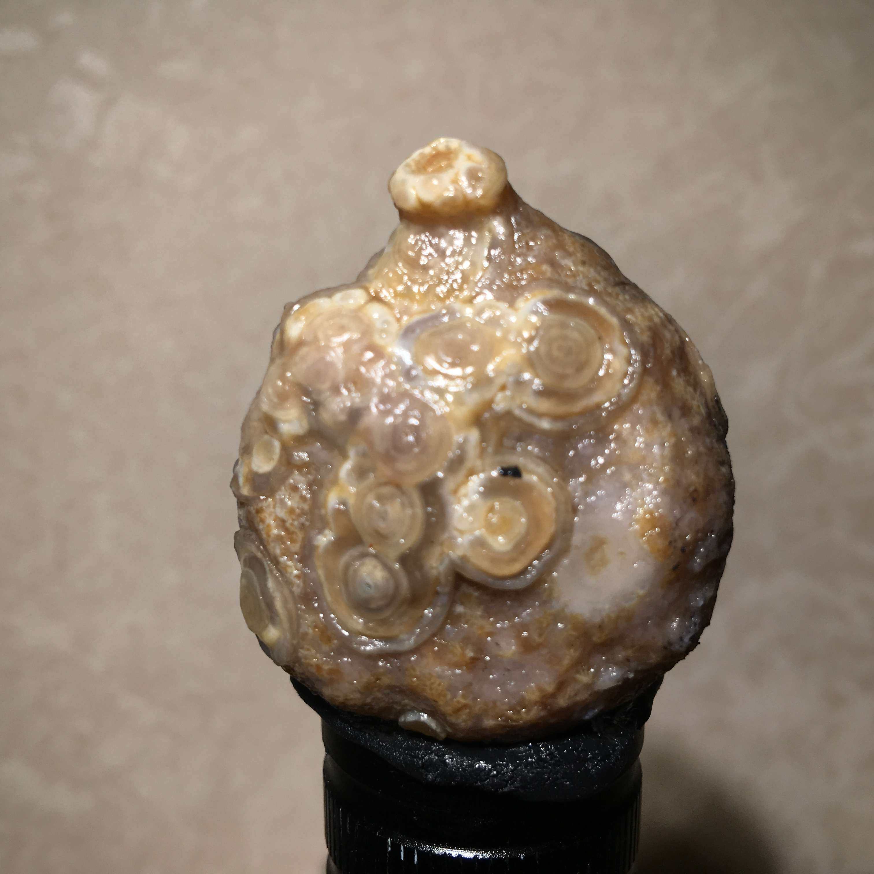 外蒙浮雕眼石红眼石玛瑙 阿拉善戈壁玛瑙原石优惠券