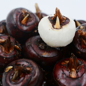 特大红马蹄果5斤包邮